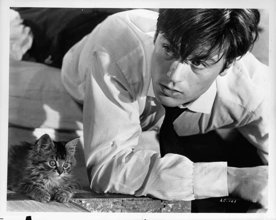 Ален Делон у сцені з фільму The Love Cage, 1964 рік