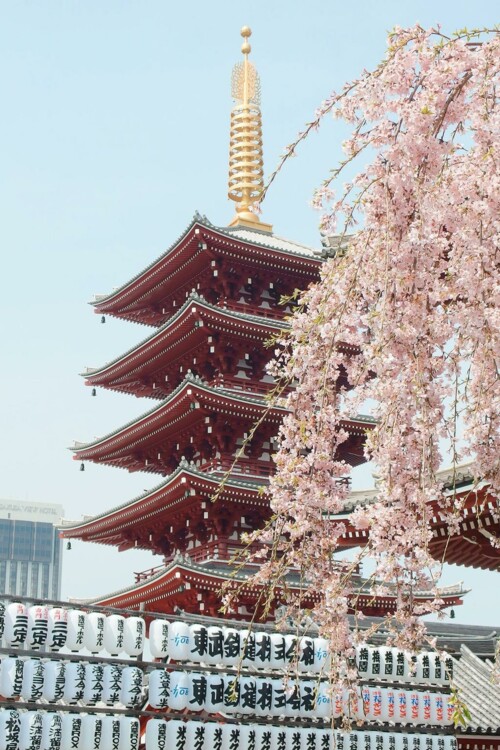 9. Токио, Япония. Photo: Yu Kato / Unsplash