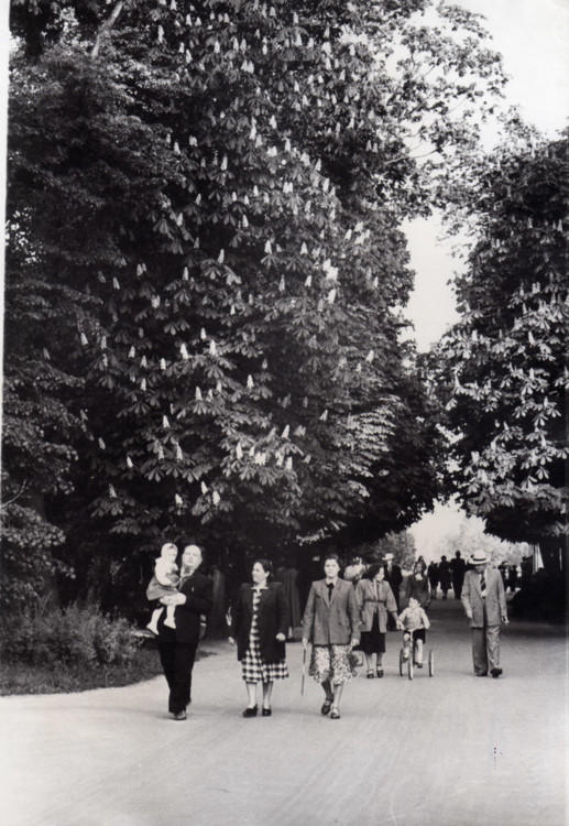 Кияни в Піонерському парку. 1956 р. (Нині - Хрещатий парк)