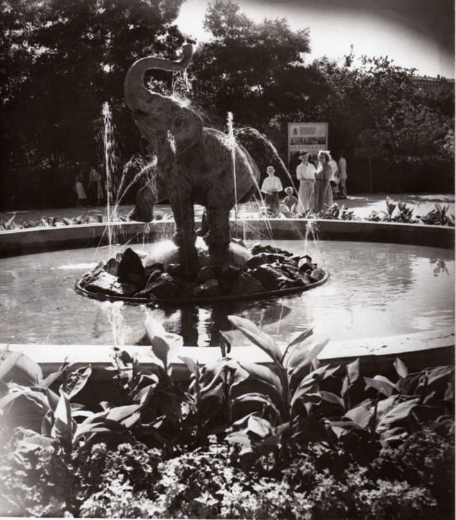 Піонерський парк. Фонтан "Слоненя". 1950-60-і рр.