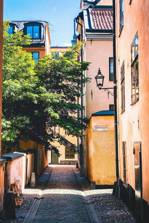 6. Стокгольм, Швеция. Photo: Oscar Ekholm Grahn / Unsplash