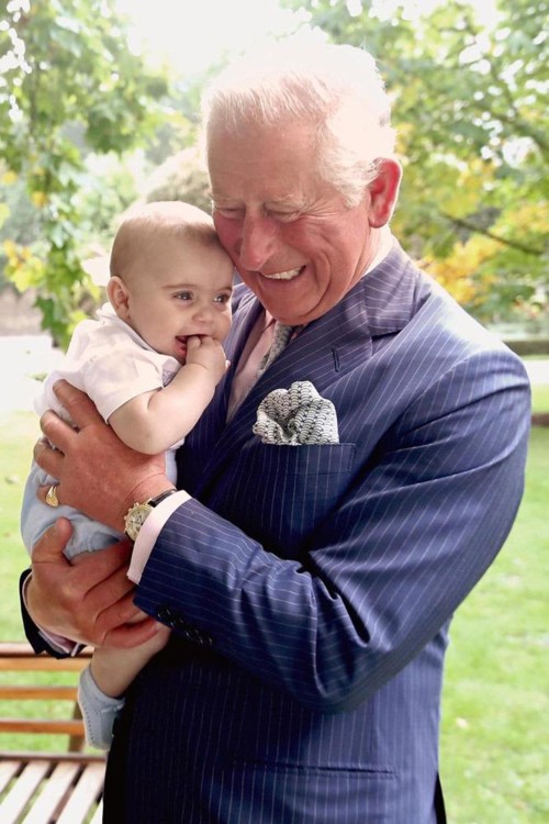 Портрет принца Чарльза на честь його 70-річчя в Clarence House, 2018