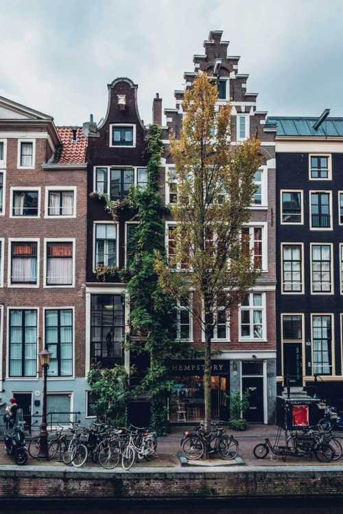7. Амстердам, Нидерланды. Photo: Robin Ooode / Unsplash