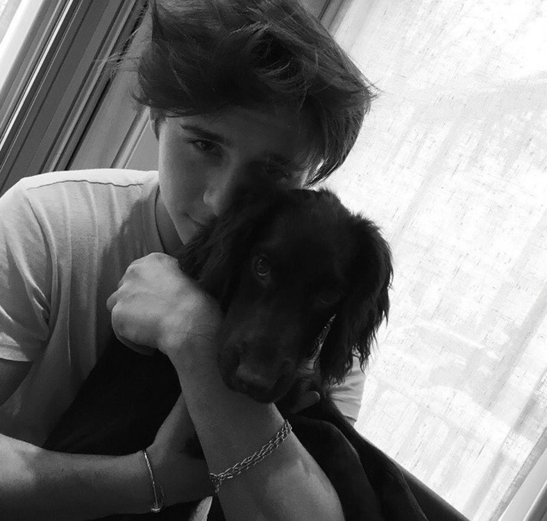 Бруклін Бекхем і його собака Олів