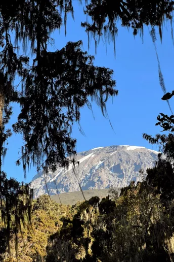 Особистий досвід: як я піднялася на Кіліманджаро