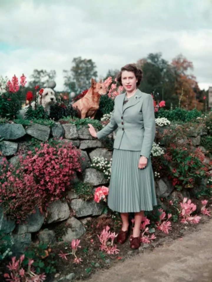 Королева Елизвате на отдыхе в поместье в Шотландии в год ее коронации в 1952.